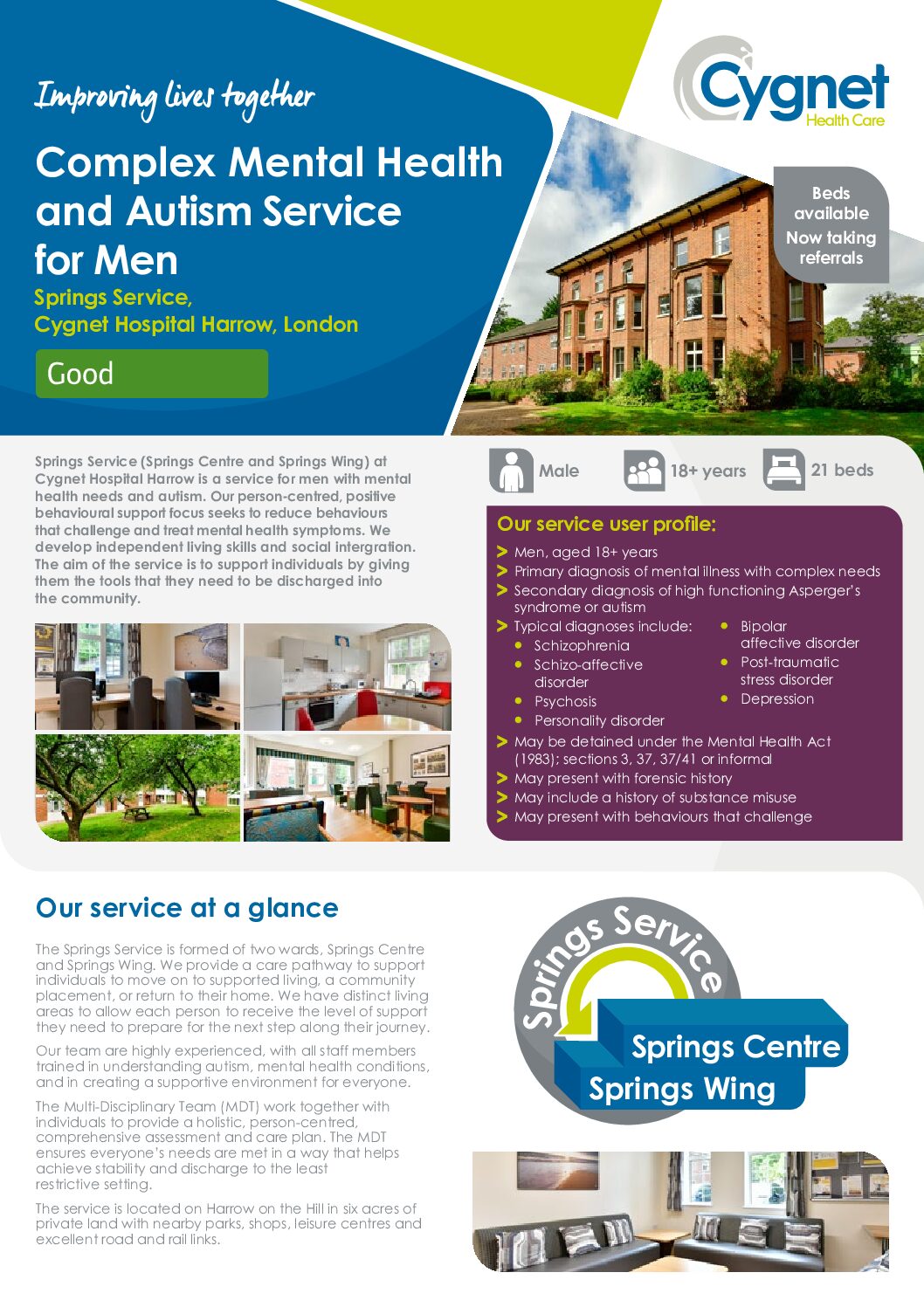 Download the Springs Service flyer PDF