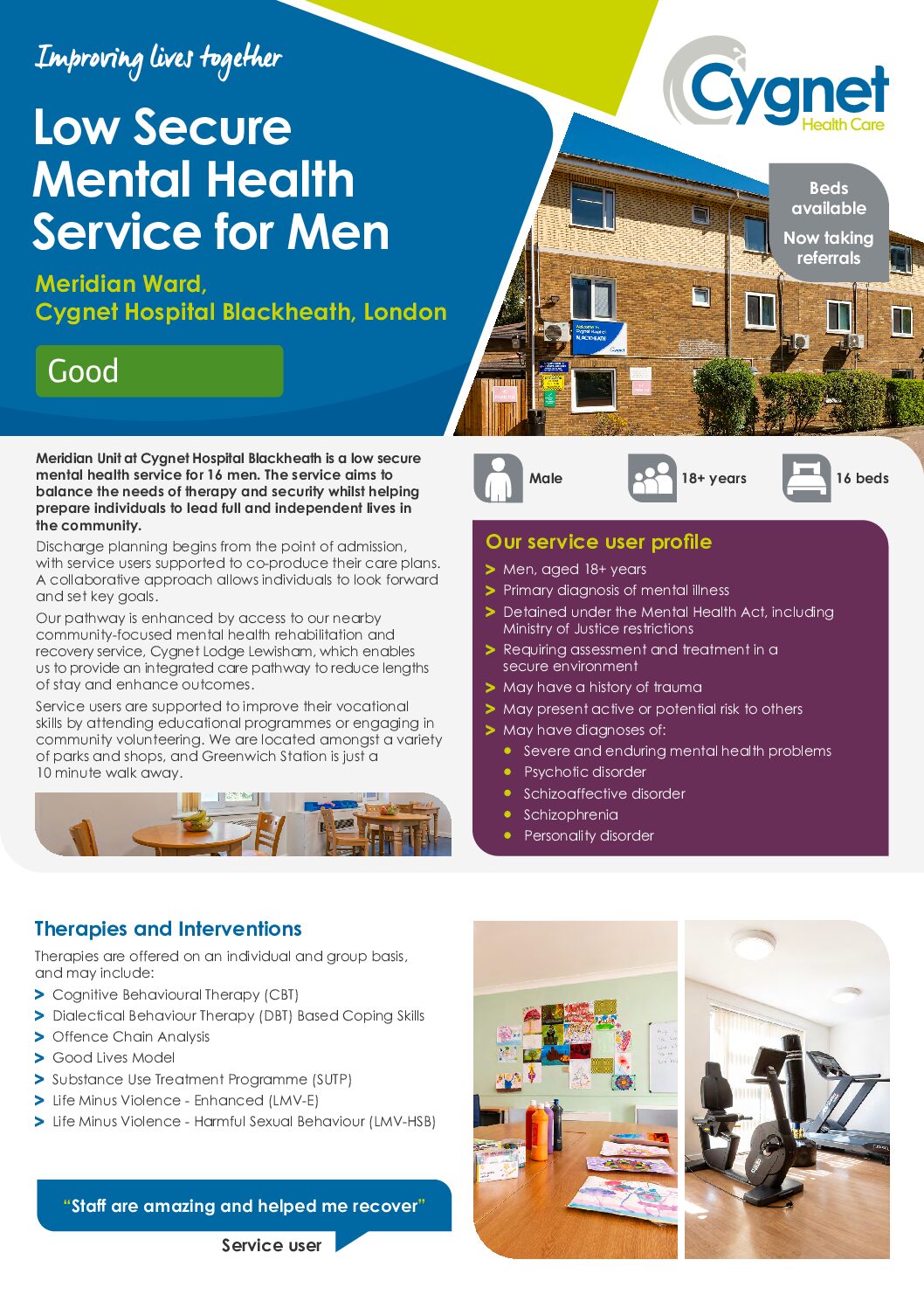 Download Meridian Ward flyer PDF