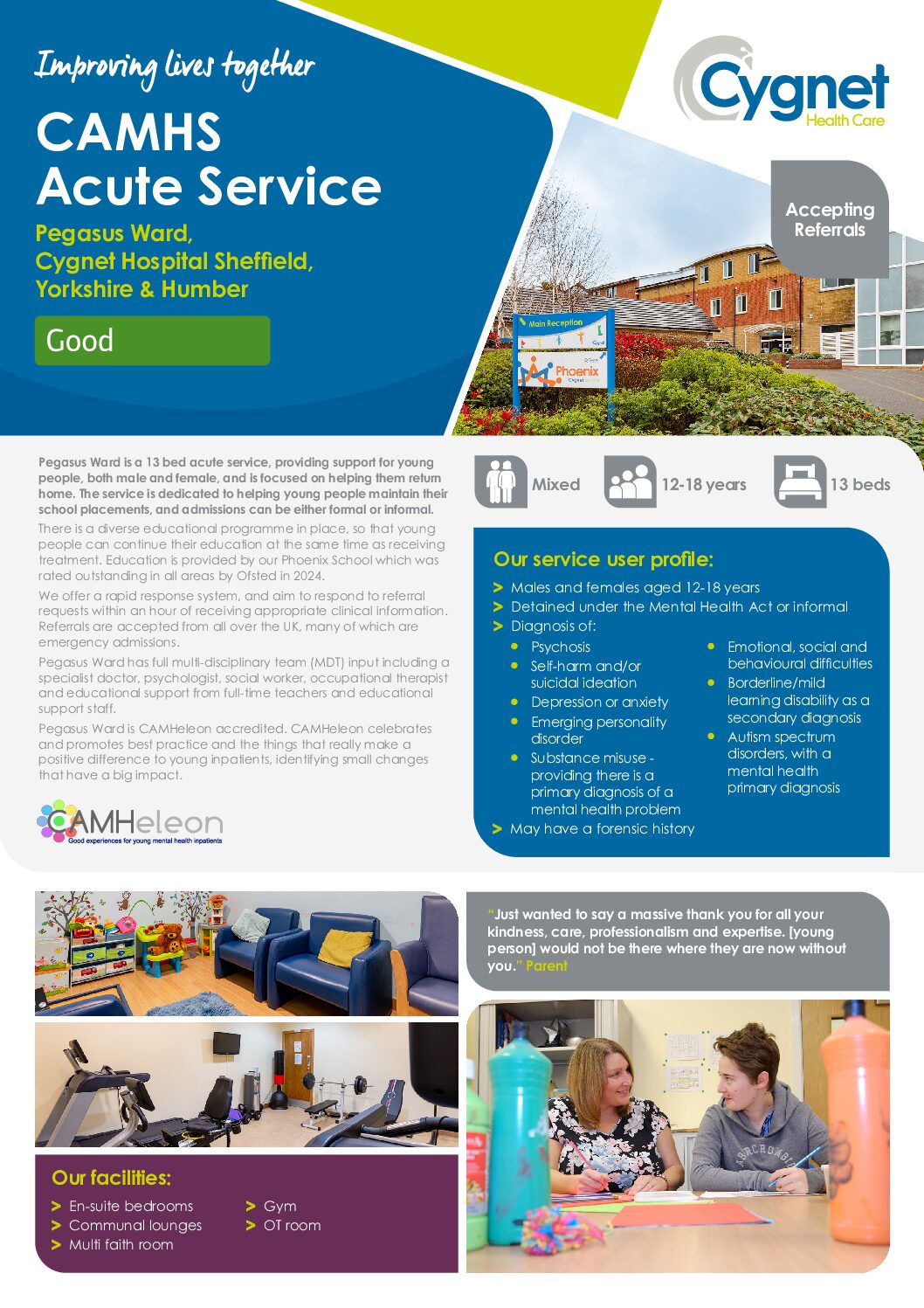 Download Pegasus Ward flyer PDF