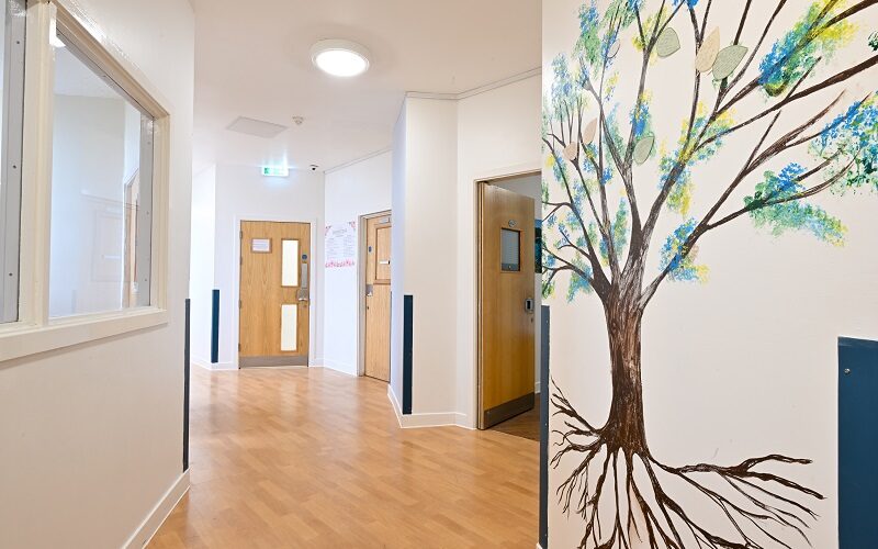 Sandford Ward corridor and Recovery tree