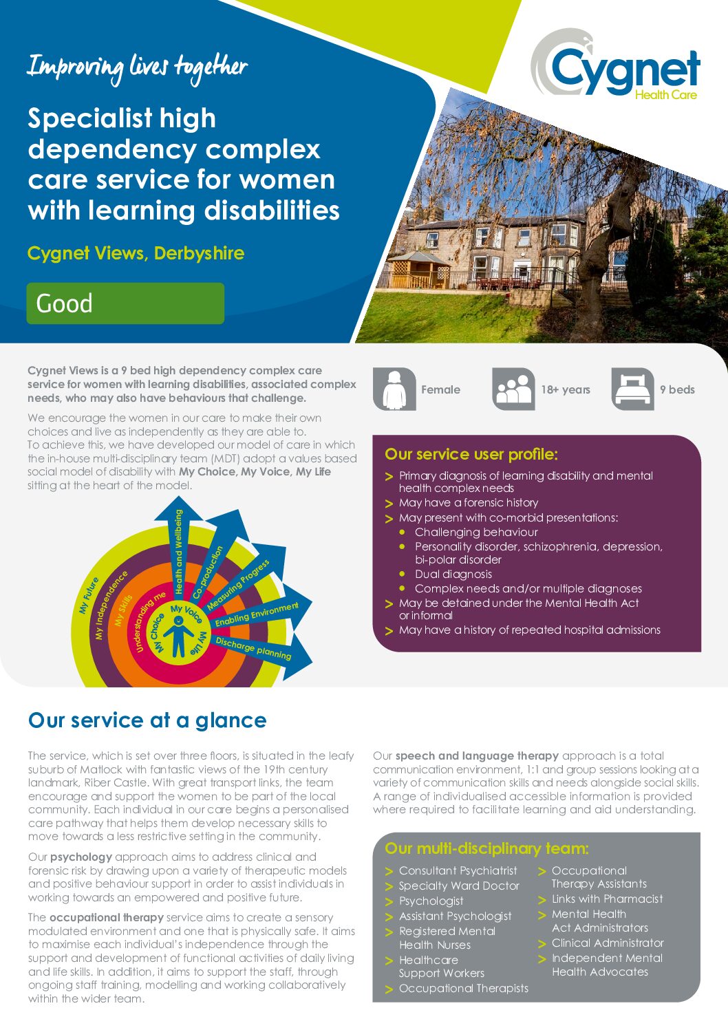 Download the Cygnet Views flyer PDF