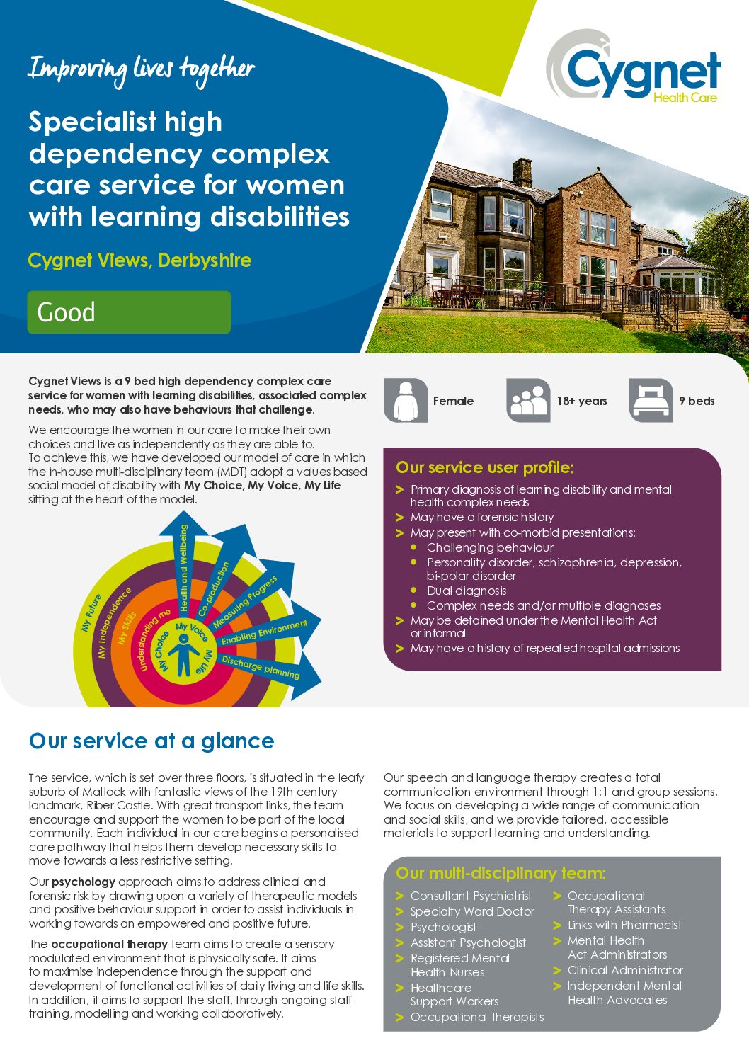 Download the Cygnet Views flyer PDF