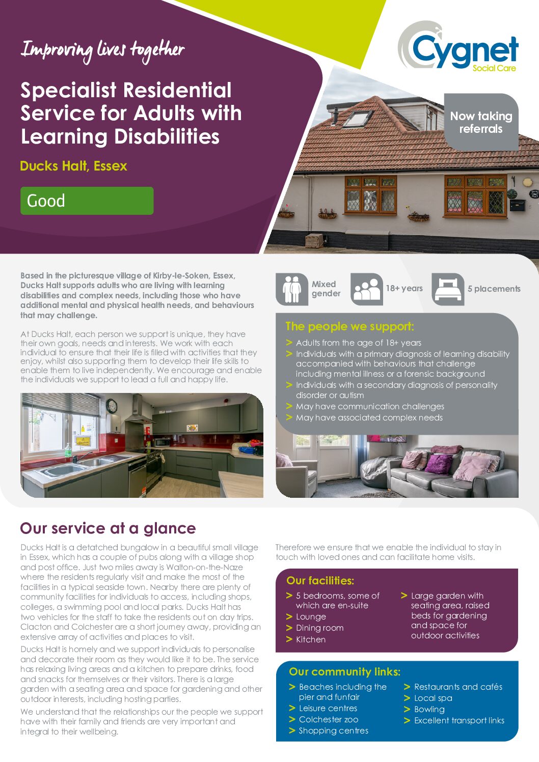 Download the Ducks Halt flyer PDF