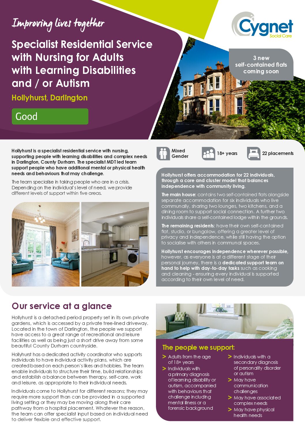Download the Hollyhurst flyer PDF