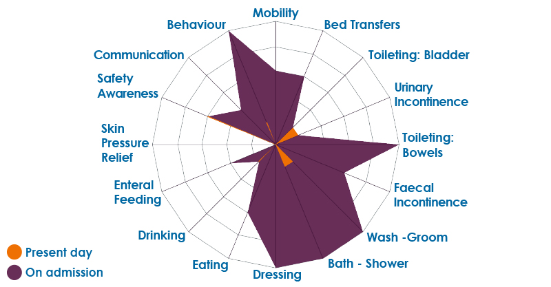 Nursing and care dependency scores diagram