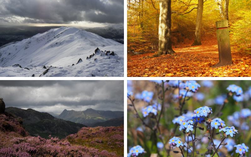 The changing seasons