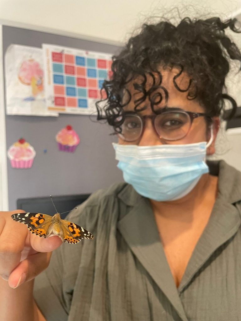 Hatching butterflies at Joyce Parker Hospital