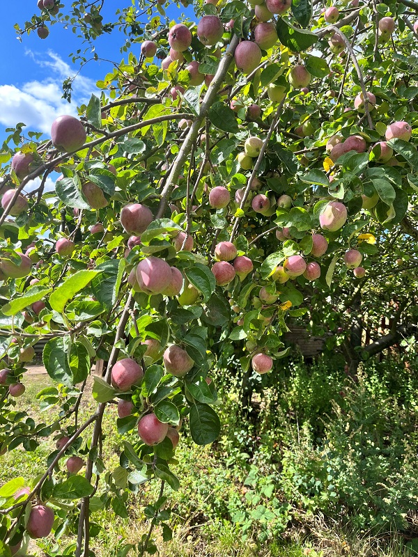 Sherwood Lodge enjoying the fruits of their labours