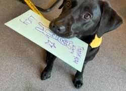 A thank you to Therapy Dogs Nationwide