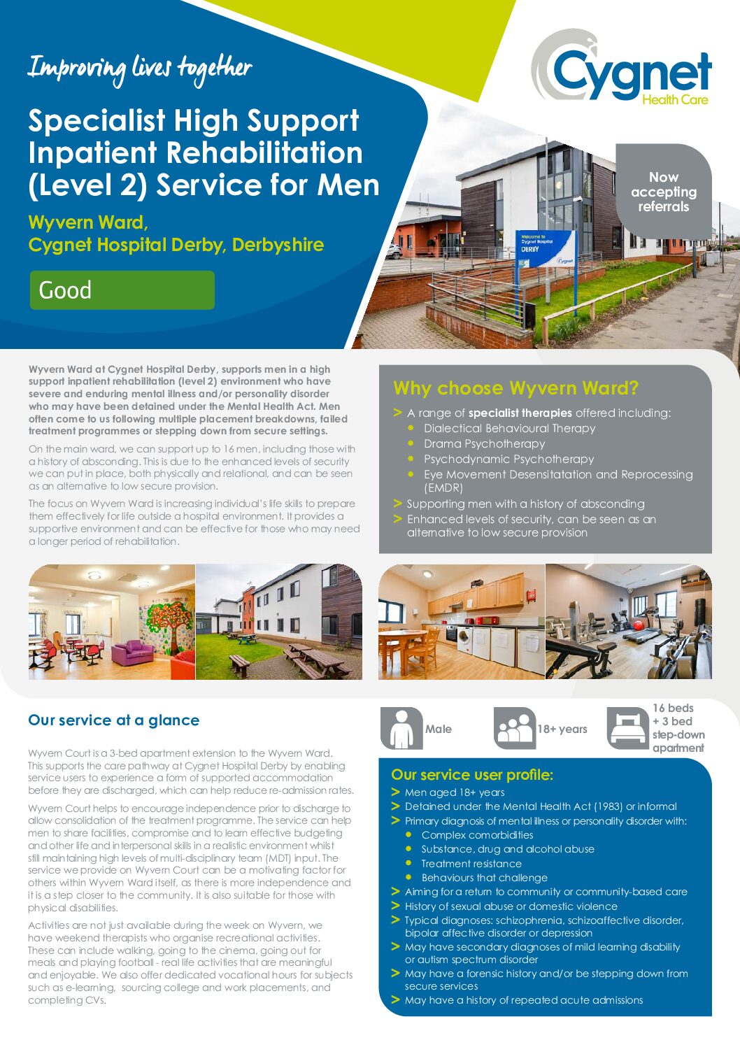 Download the Wyvern Ward Flyer PDF
