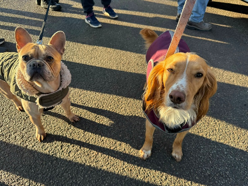 Thor and Primrose