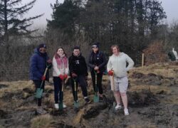 Service users and staff from Cygnet St Teilo House planting trees at Rhymney Remembrance Park