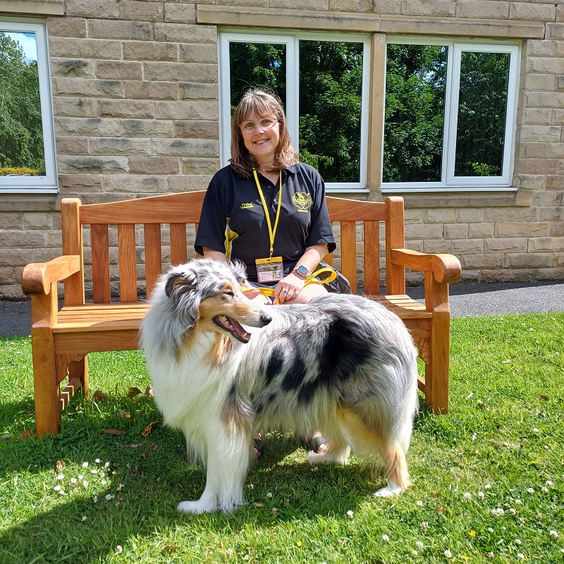 Flo the Therapy Dog