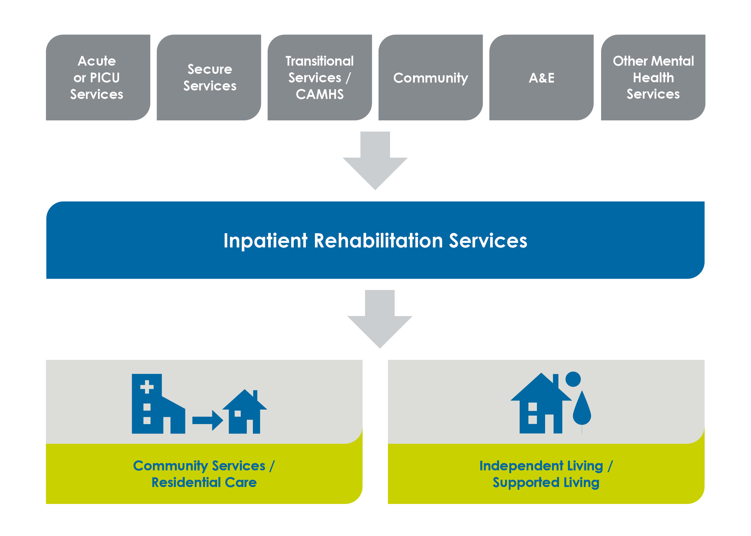 Care pathway diagram showing progression from acute services (Acute/PICU, Secure Services, Transitional Services/CAMHS, Prison Service, Other Mental Health Services) through Inpatient Rehabilitation Services to community-based care (Community Services/Residential Care and Independent Living/Supported Living)