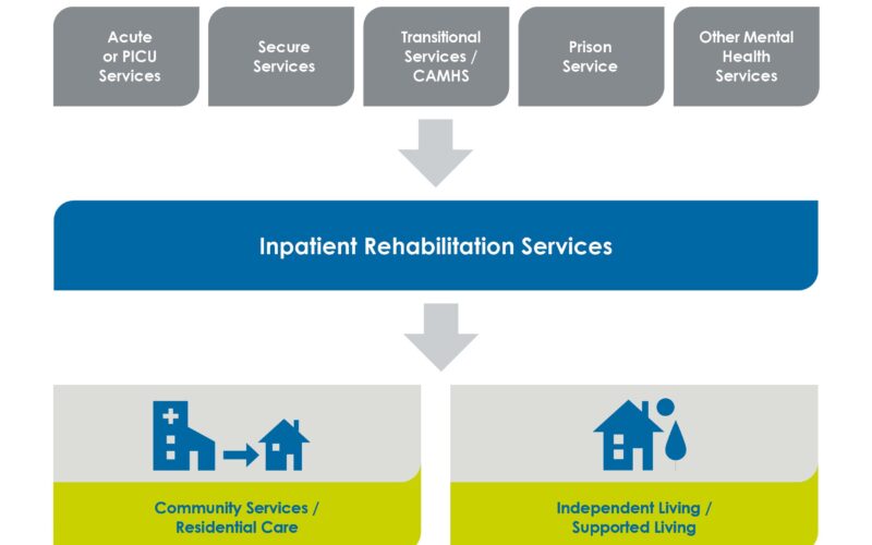 Care pathway diagram showing progression from acute services (Acute/PICU, Secure Services, Transitional Services/CAMHS, Prison Service, Other Mental Health Services) through Inpatient Rehabilitation Services to community-based care (Community Services/Residential Care and Independent Living/Supported Living)