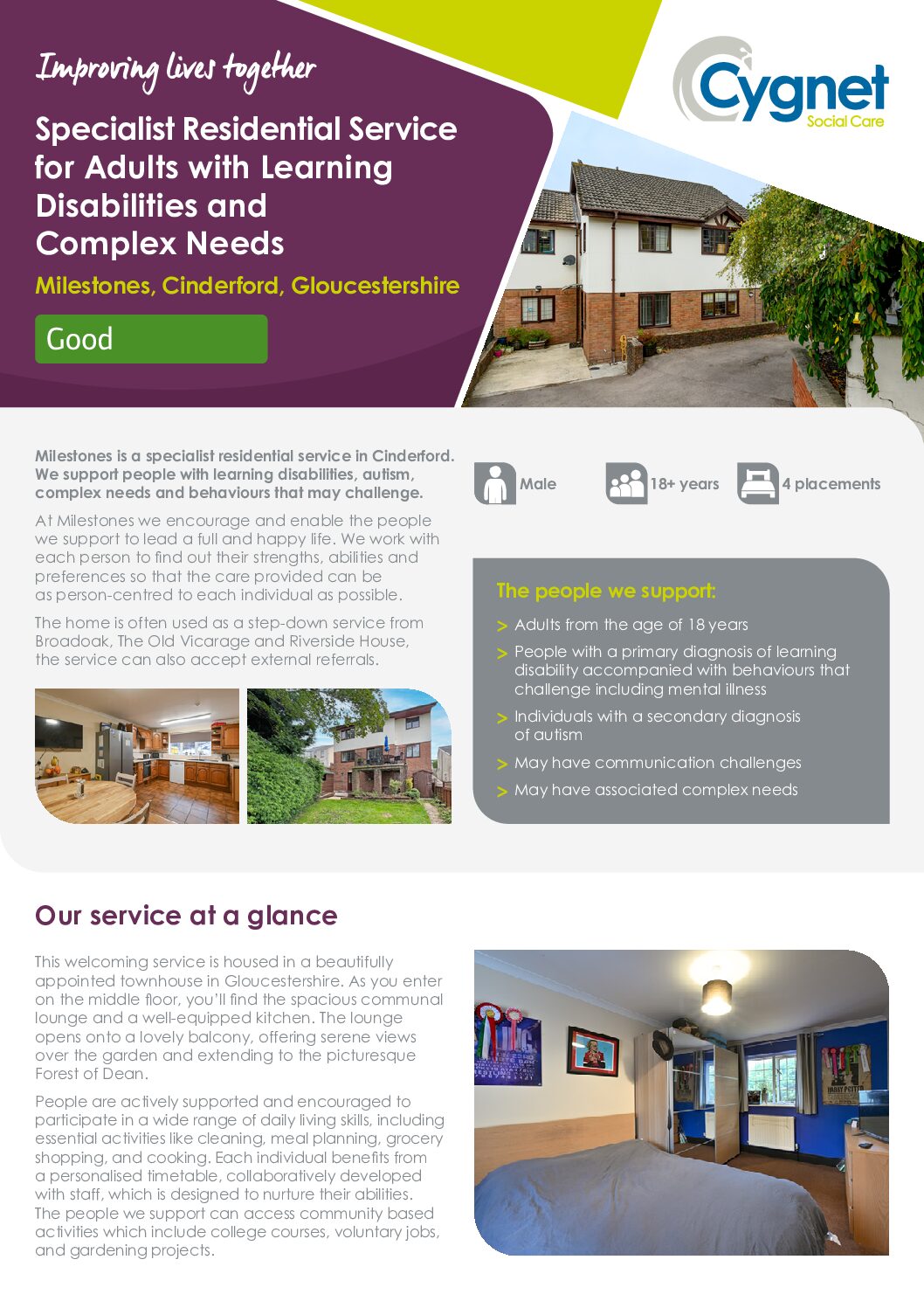 Download the Milestones flyer PDF