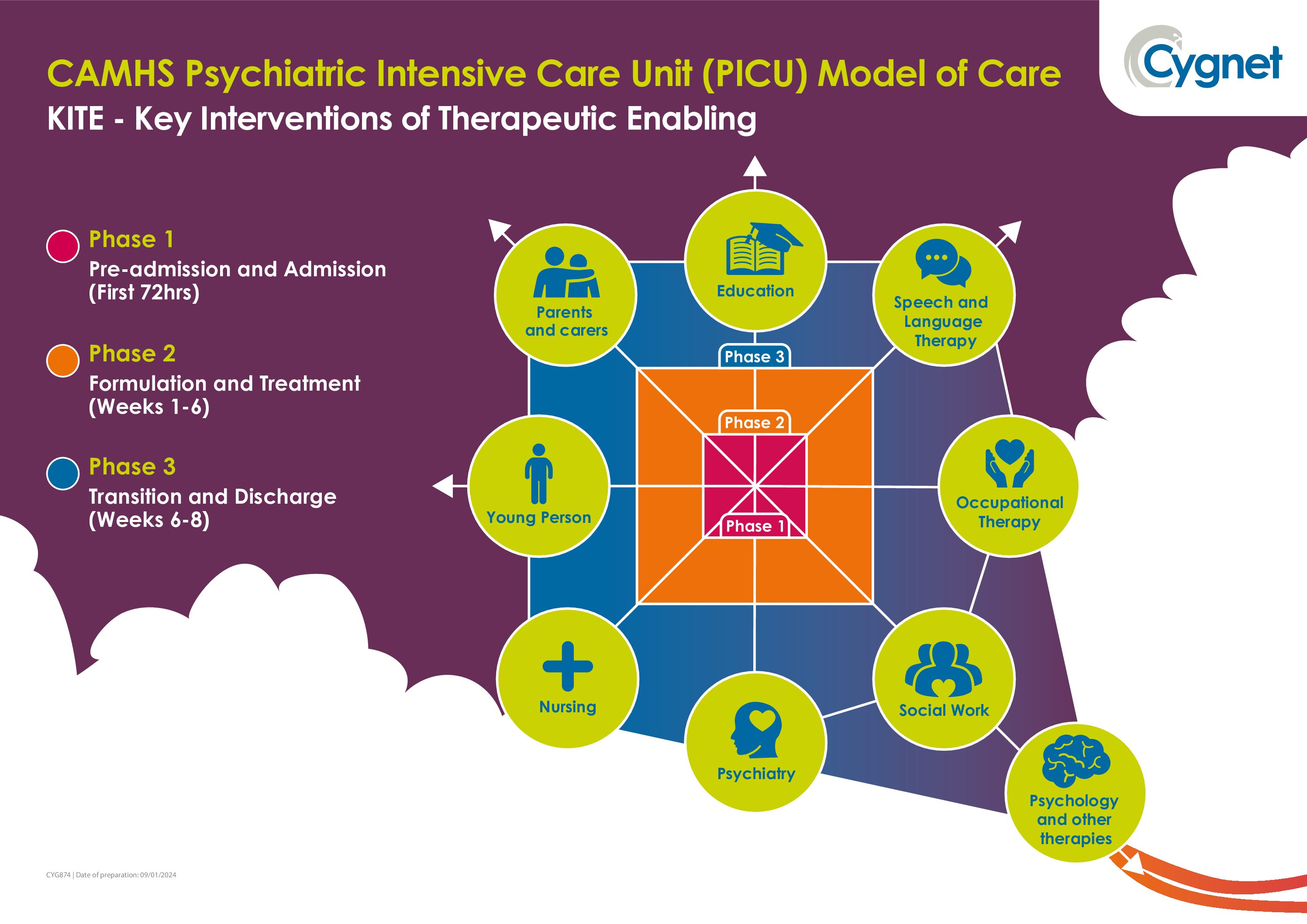 Download our CAMHS PICU Model of Care PDF