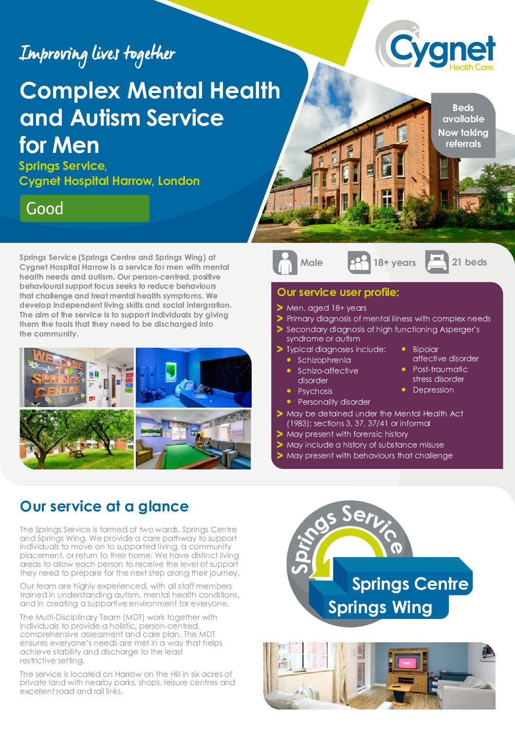 Download the Springs Service flyer PDF