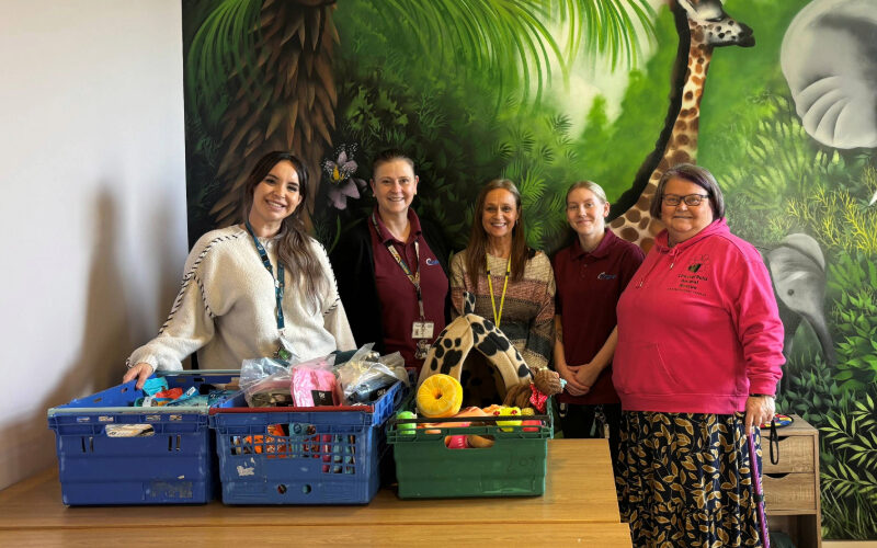 A group of staff standing behind tables displaying crates of donated pet supplies, including toys, blankets and food, in front of a colourful wildlife mural.
